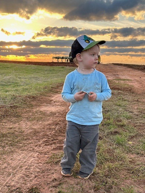 A small child in a ball cap standing in a field at sunset.