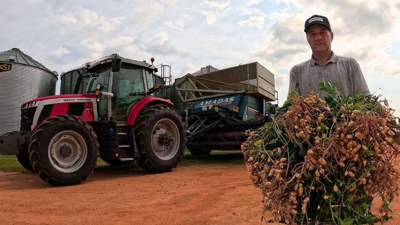 Green Peanut Harvester